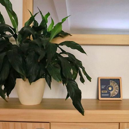 Apartmany Na Sumave Kasperske Hory Zewnętrze zdjęcie